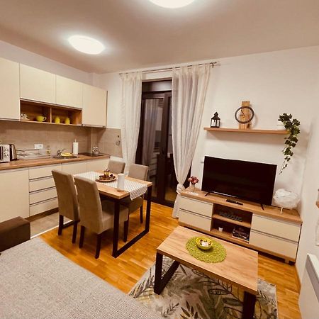 Lux Apartmani Vojinovic ズラティボール エクステリア 写真