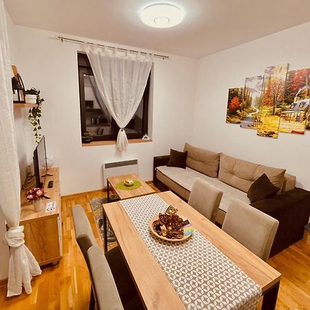 Lux Apartmani Vojinovic ズラティボール エクステリア 写真