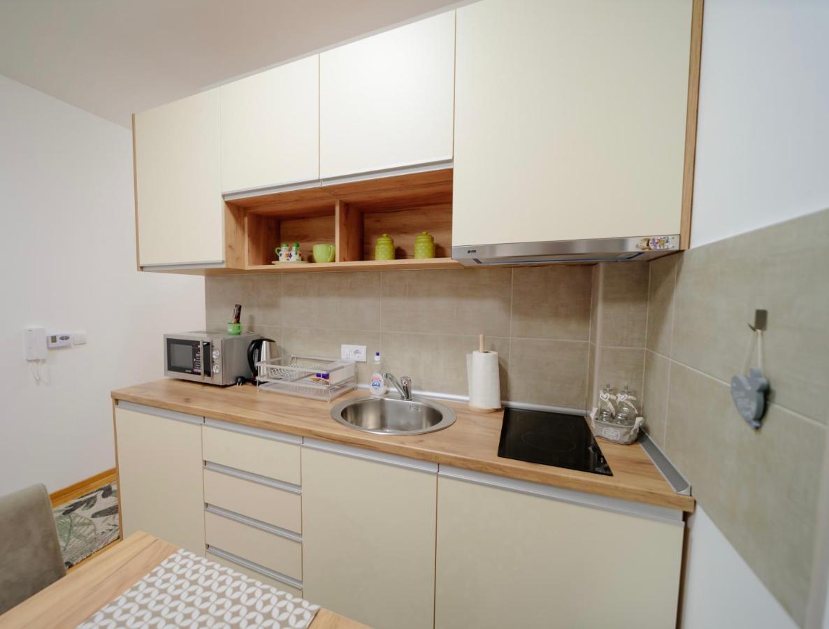 Lux Apartmani Vojinovic ズラティボール エクステリア 写真