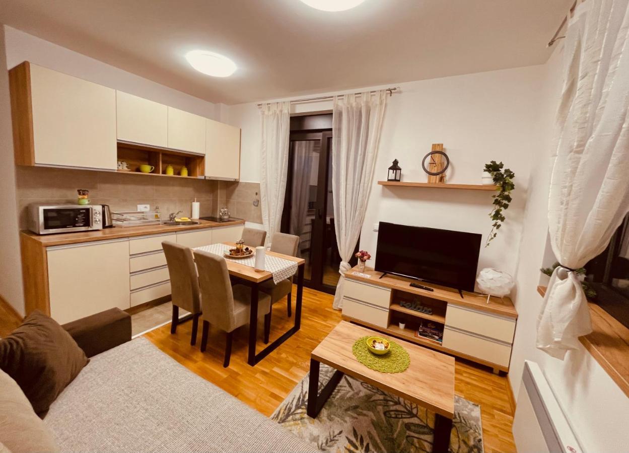 Lux Apartmani Vojinovic ズラティボール エクステリア 写真
