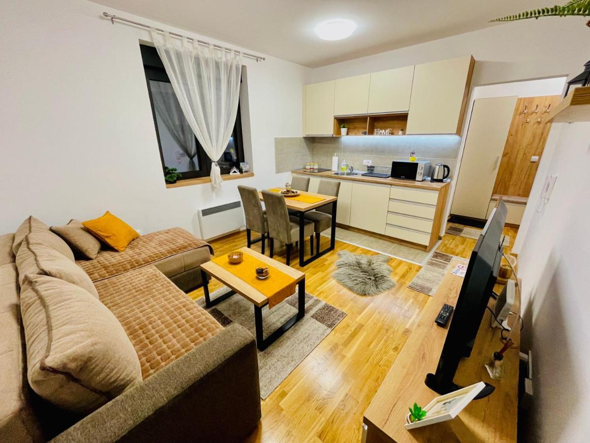 Lux Apartmani Vojinovic ズラティボール エクステリア 写真