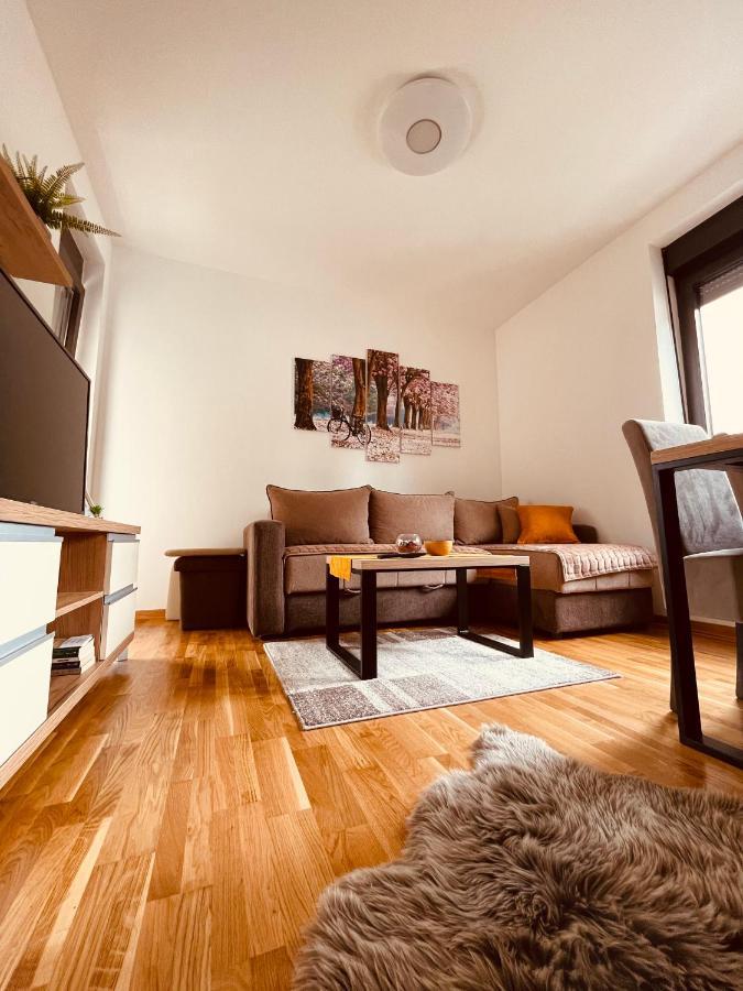 Lux Apartmani Vojinovic ズラティボール エクステリア 写真